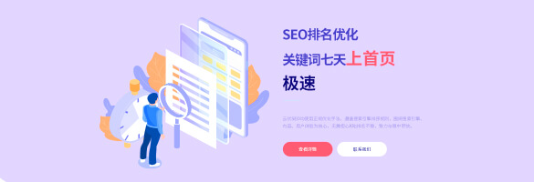 seo排名计费系统